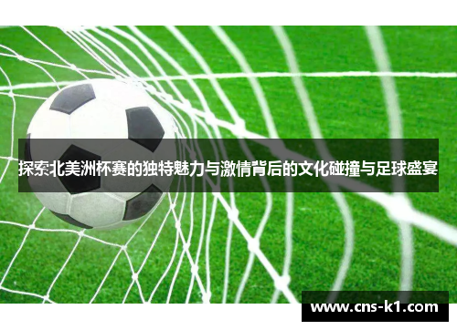 探索北美洲杯赛的独特魅力与激情背后的文化碰撞与足球盛宴
