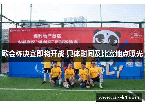 欧会杯决赛即将开战 具体时间及比赛地点曝光
