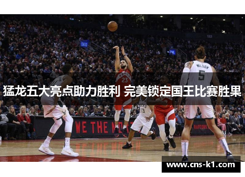 猛龙五大亮点助力胜利 完美锁定国王比赛胜果