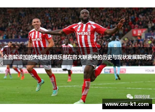 全面解读加的夫城足球俱乐部在各大联赛中的历史与现状发展解析探