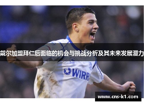 戴尔加盟拜仁后面临的机会与挑战分析及其未来发展潜力