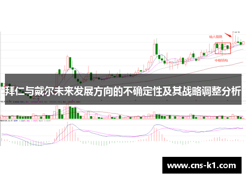 拜仁与戴尔未来发展方向的不确定性及其战略调整分析