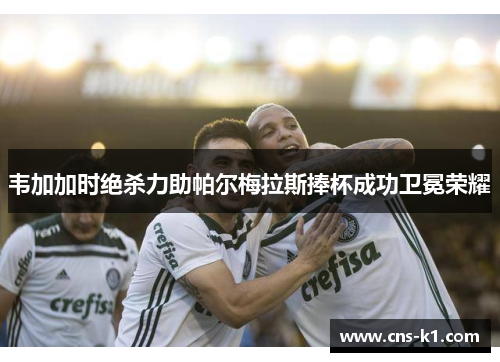 韦加加时绝杀力助帕尔梅拉斯捧杯成功卫冕荣耀